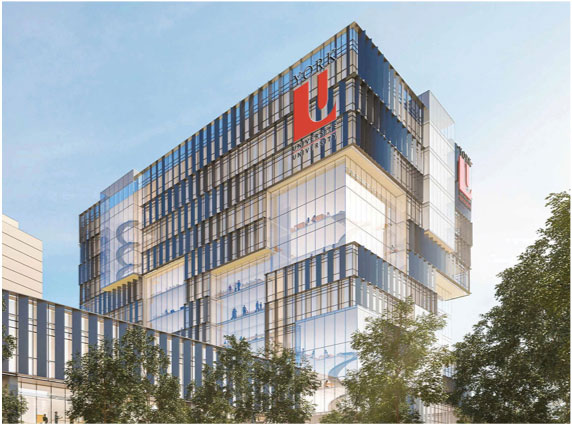 York University